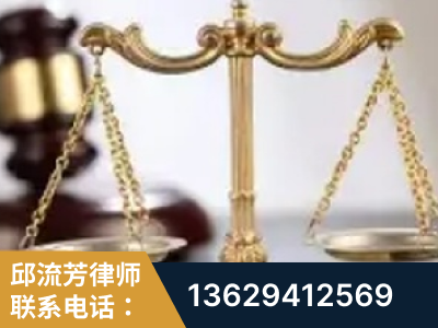 娄底-委托诉讼代理人出庭